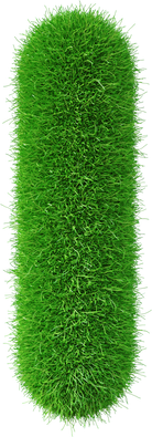 Grass font  I letter Green