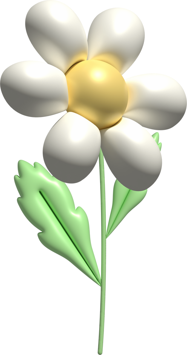 3d White Daisy Flower