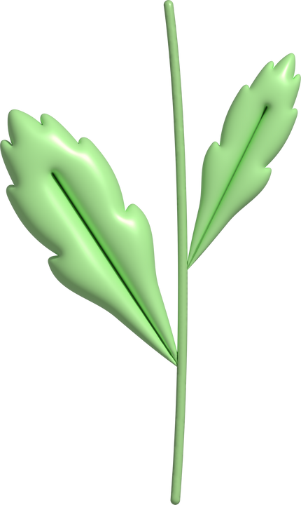 3d Green Daisy Leaf