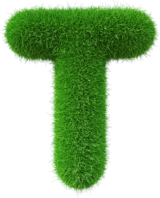 Grass font  T letter Green